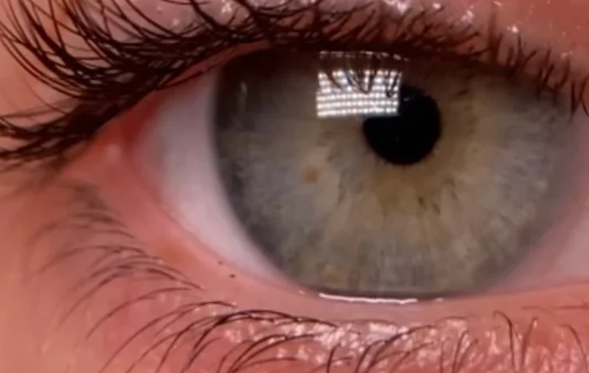 Detal rzęs — LAMINOLOGY LASH